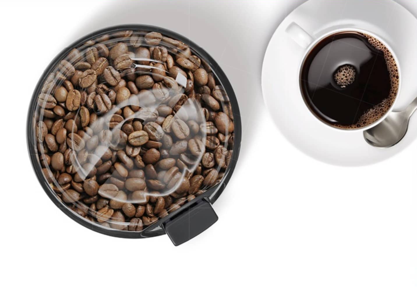 coffee grinder TSM6A013B