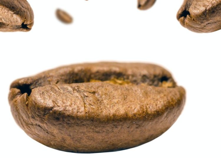 Test du moulin à café Amazon Basics - On peut dire qu’on a pas été déçu par ce moulin à prix cassé